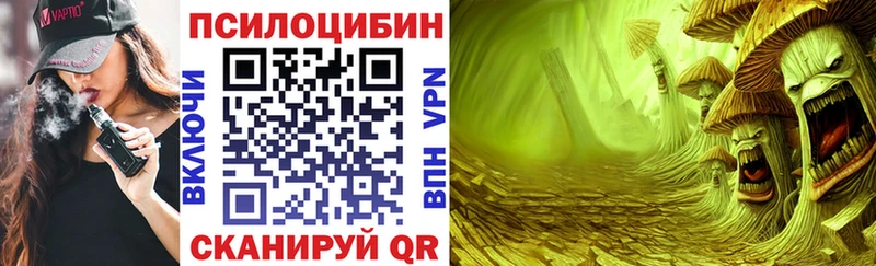 Псилоцибиновые грибы Psilocybe  наркошоп  Заречный 
